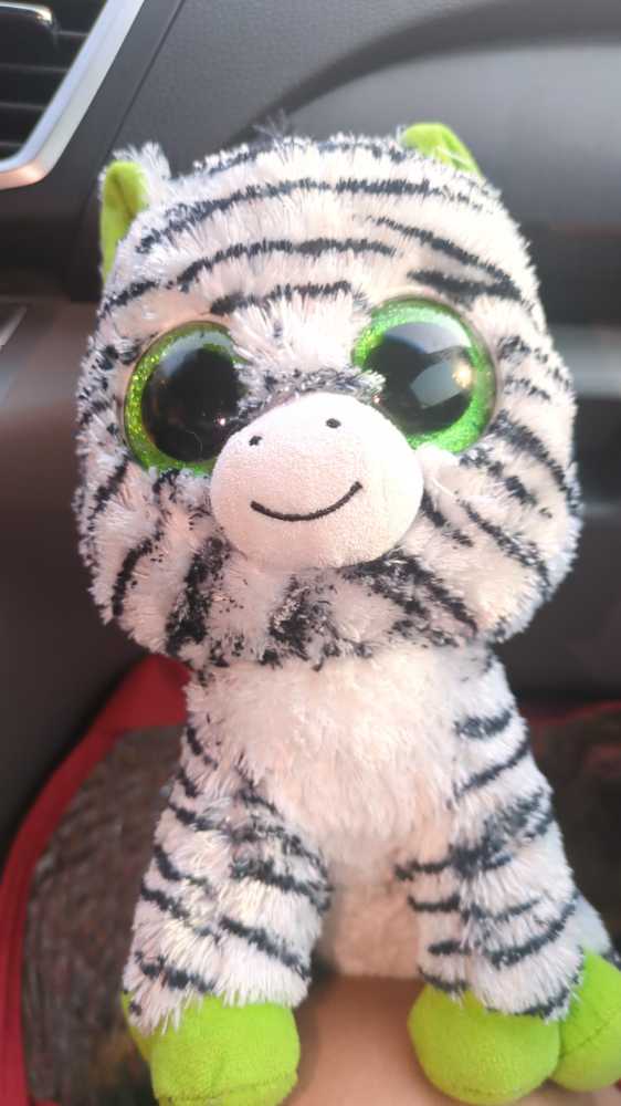 1 & Only Mister Bear