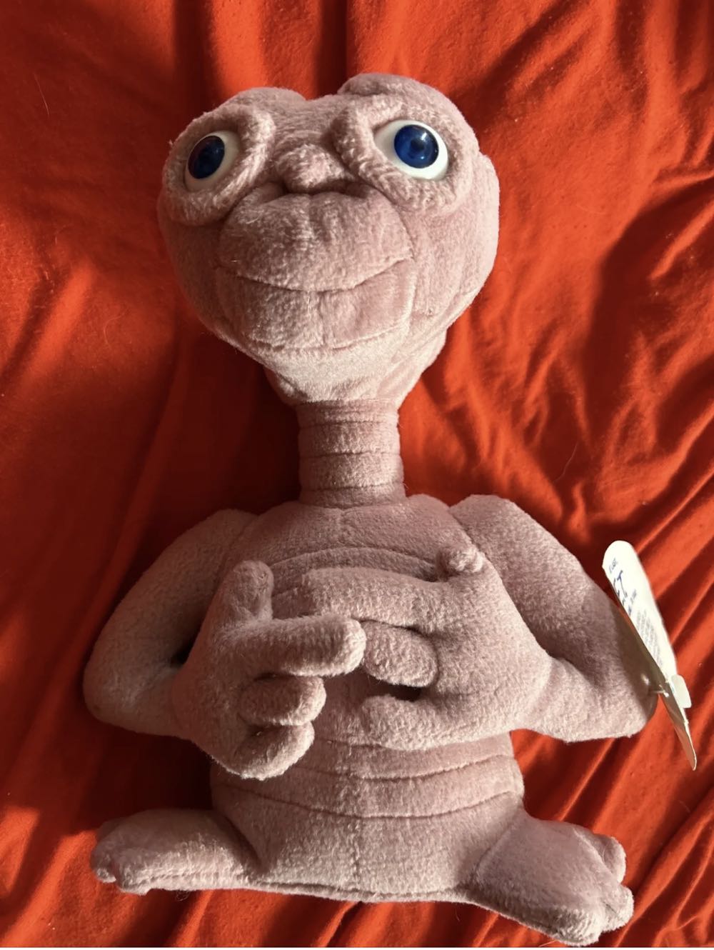 Socks The Sock Monkey (Pink Buddy)