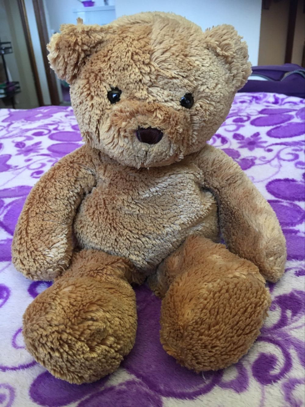 Avanti Tabby Cat “Grizabella”