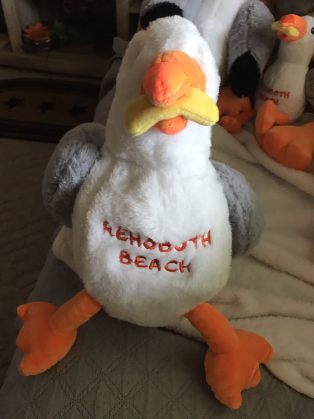 Image 32459