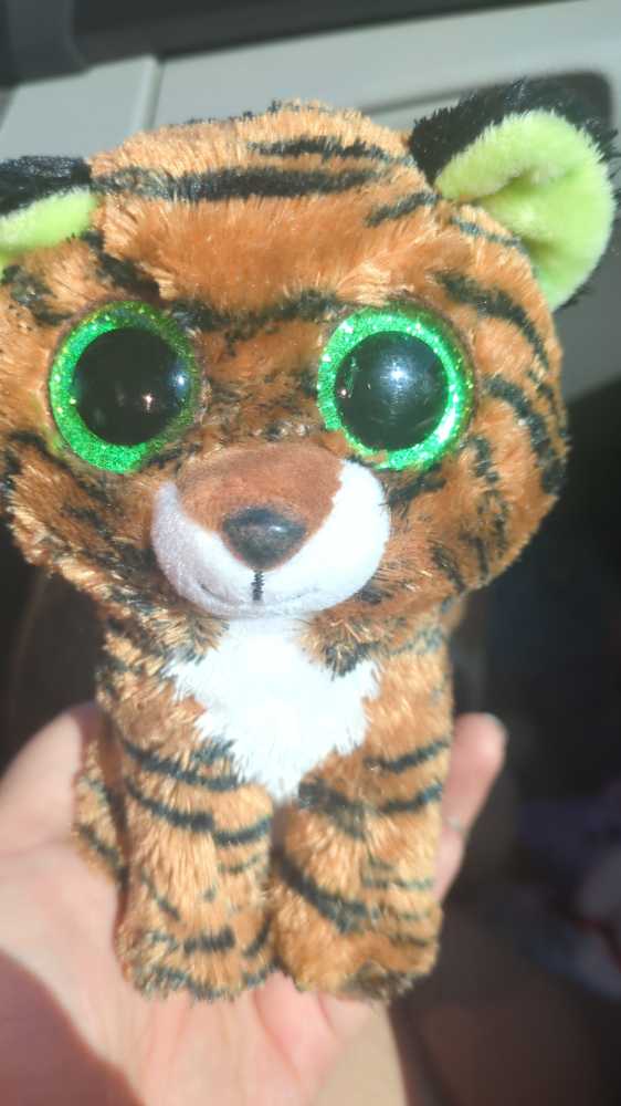 Hello Kitty Doodle Water Bottle Set Kids New By Sanrio