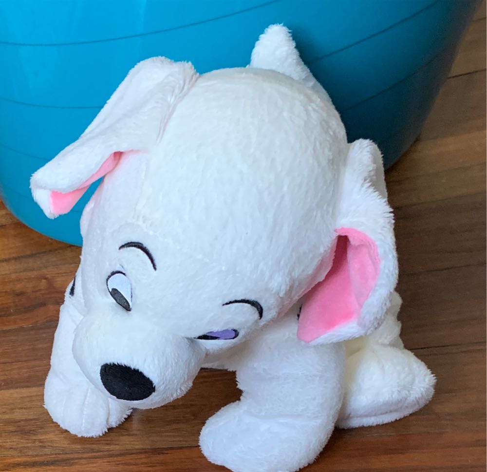 Bo The Portuguese Water Dog (White Key Clip)