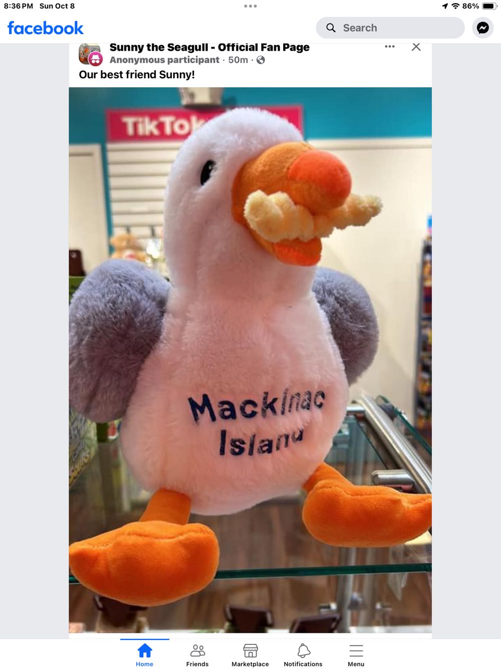 Dee Dan Dee Halloween Plush Unicorn Bear