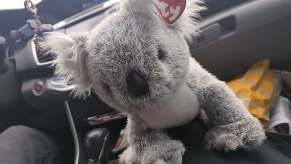 A Tail Tote Plush Stuffed Toy Lucky