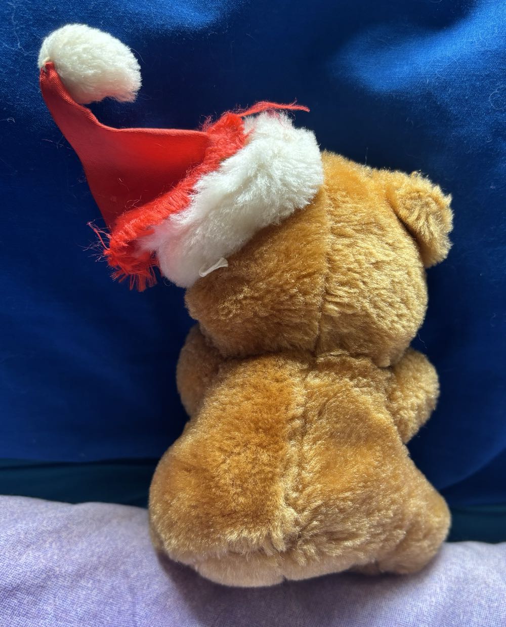 Christmas Hat & Stocking Bear  (Australia) plush collectible - Main Image 3