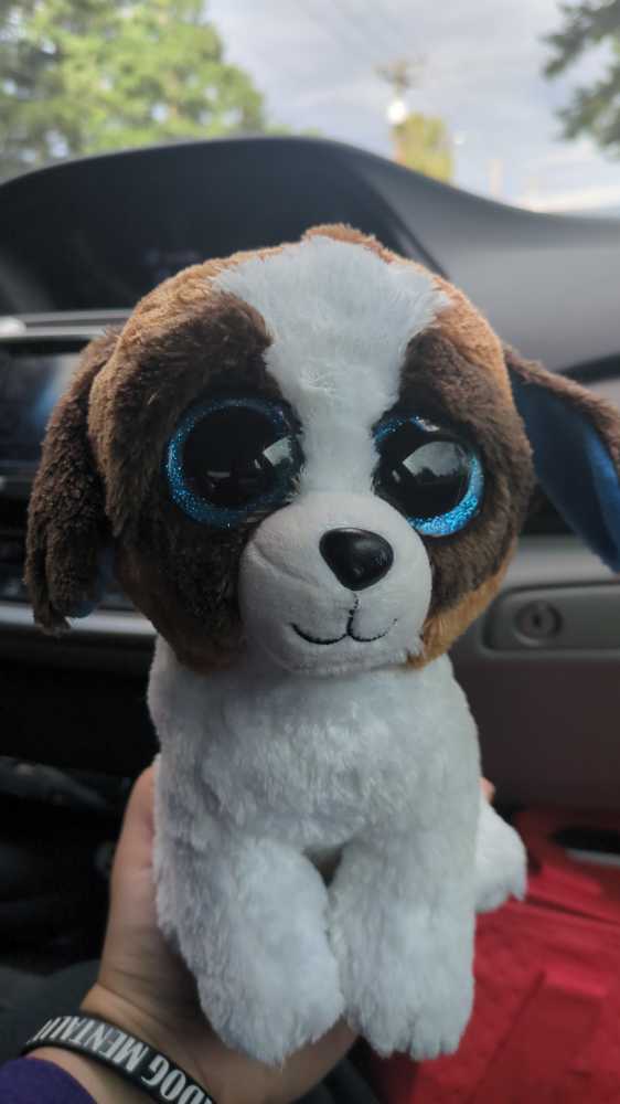 White & Green Teddy In Dress With Hearts