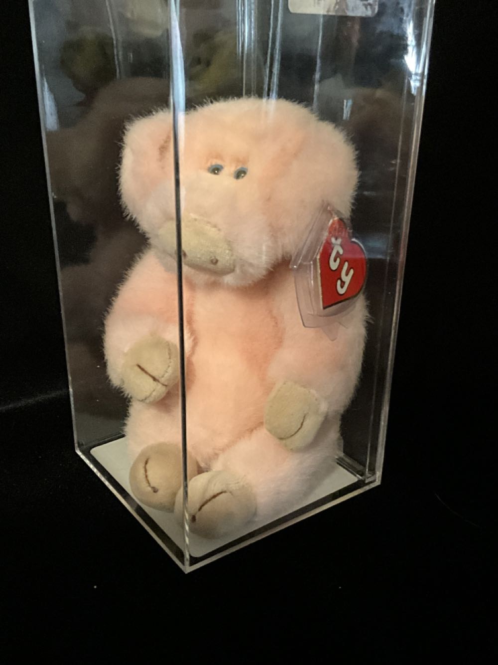 Halloween BeanPal Skeleton Cut Guy