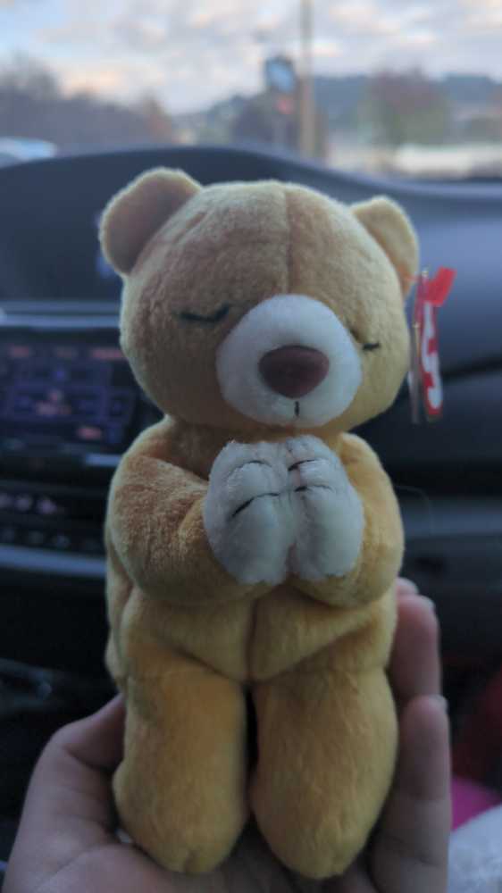 Pound Puppies Brown Puppy New With Spots Dog Long Ears 14.5”l Reddish Black