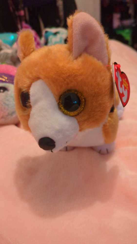 Free Brown Horse Dreamworks Spirit Untamed Riding Free 8” Spirit Riding Stuffed Animal Toy New Chica Netflix Pony Linda Stallion Just Play Inch Tags 7.5” Bean Of 2020 Dreamworks Netflix With