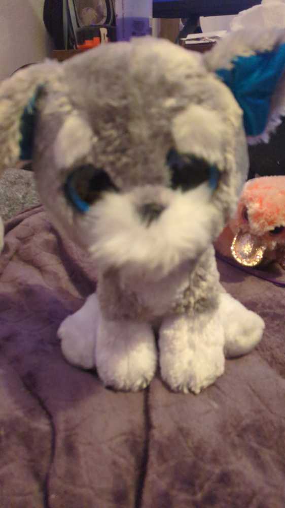 DC Comics - Wonder Woman