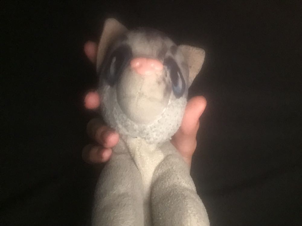 Star Trek Alien Bean Bags 6” Mugato Collectible Series 1 Nwt Figure