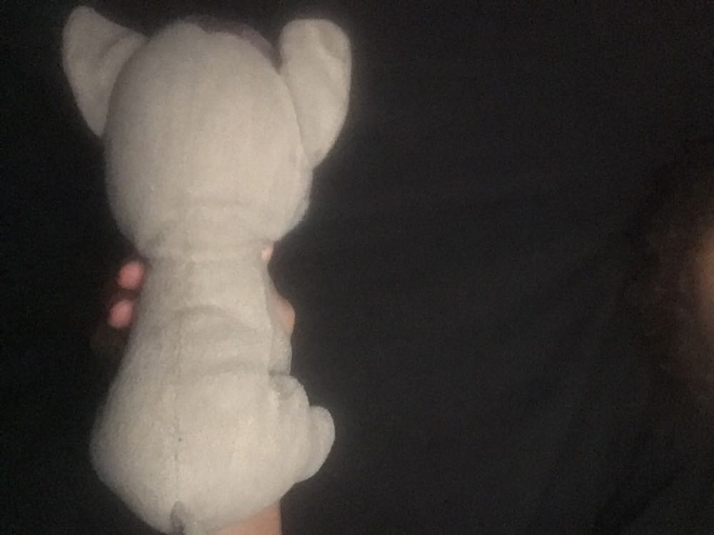 Cat  (United States) plush collectible - Main Image 2