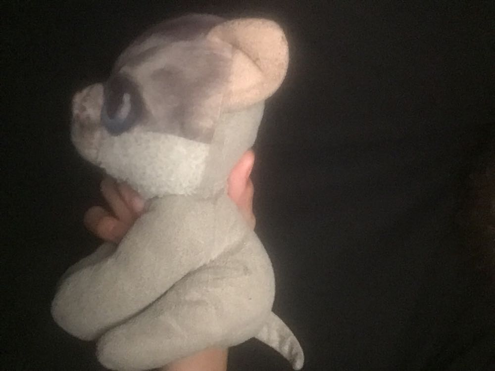 Cat  (United States) plush collectible - Main Image 3