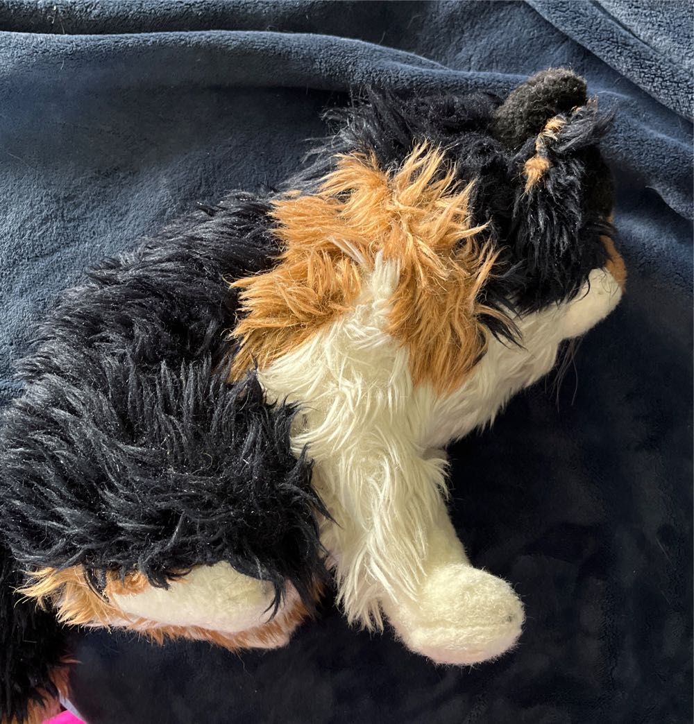 Avanti Tabby Cat “Grizabella”  plush collectible - Main Image 2