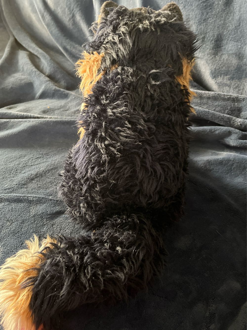 Avanti Tabby Cat “Grizabella”  plush collectible - Main Image 3