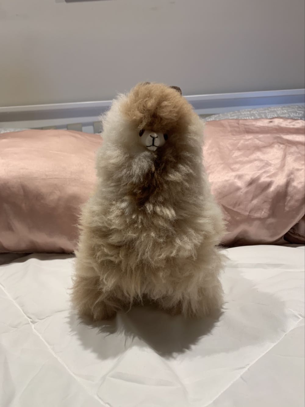 Squishmallow 8” Dent The Dragon Soft Black Purple Mystical Fuzzy Belly Halloween Bnwt Squishmallows New Squad To Nwt First Market Kellytoy 8