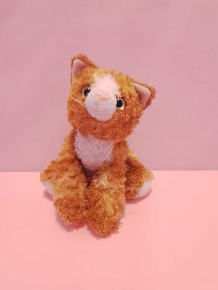 Dakin Odie From “Garfield”