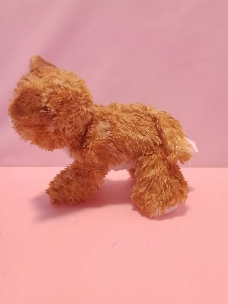 Butterscotch   (Canada) plush collectible - Main Image 3