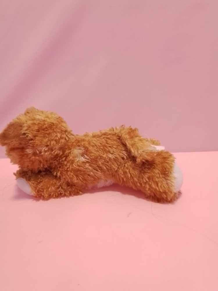 Butterscotch   (Canada) plush collectible - Main Image 4