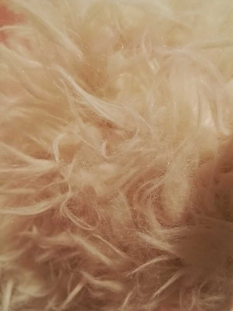 Scruffy  (Canada) plush collectible - Main Image 3