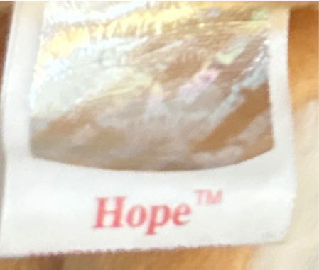 Hope  (United States) plush collectible [Barcode 008421042135] - Main Image 2