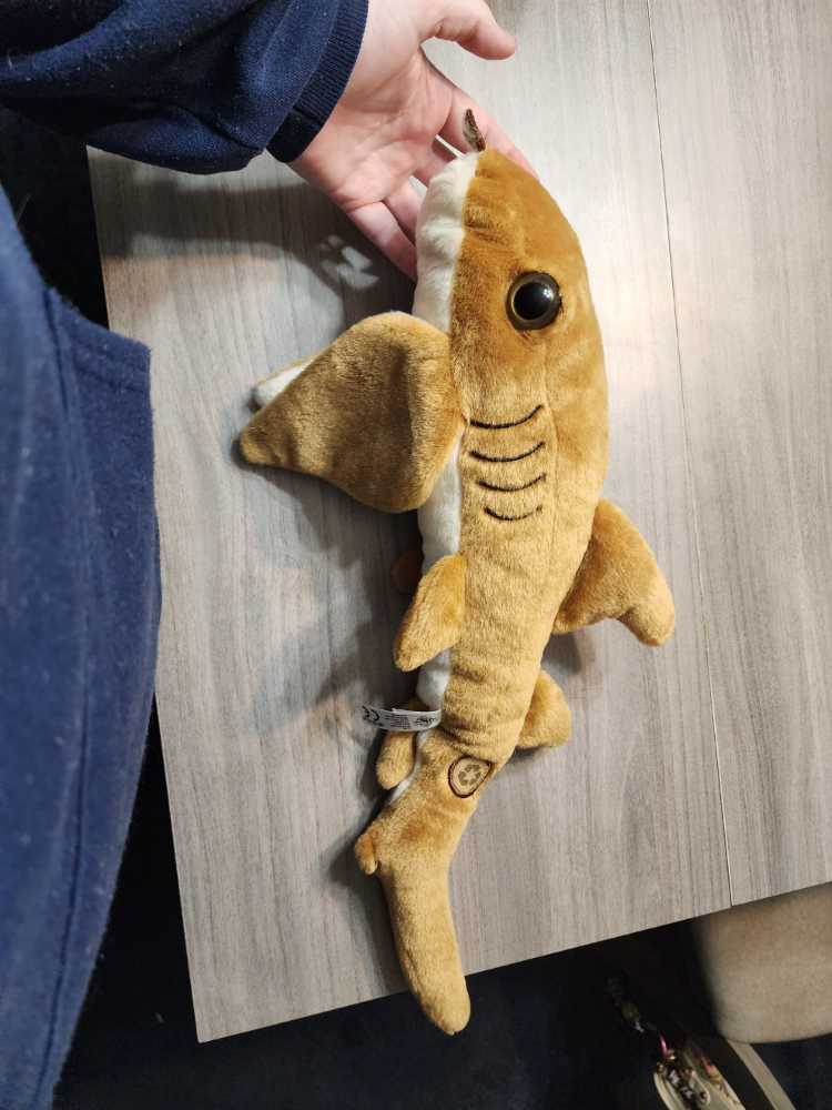 125) Vintage 1980s Donald Duck 3” Pinback Button Walt Disney World Disney Productions