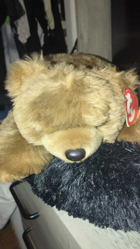 Thorn Rose -  (Sonic Prime)