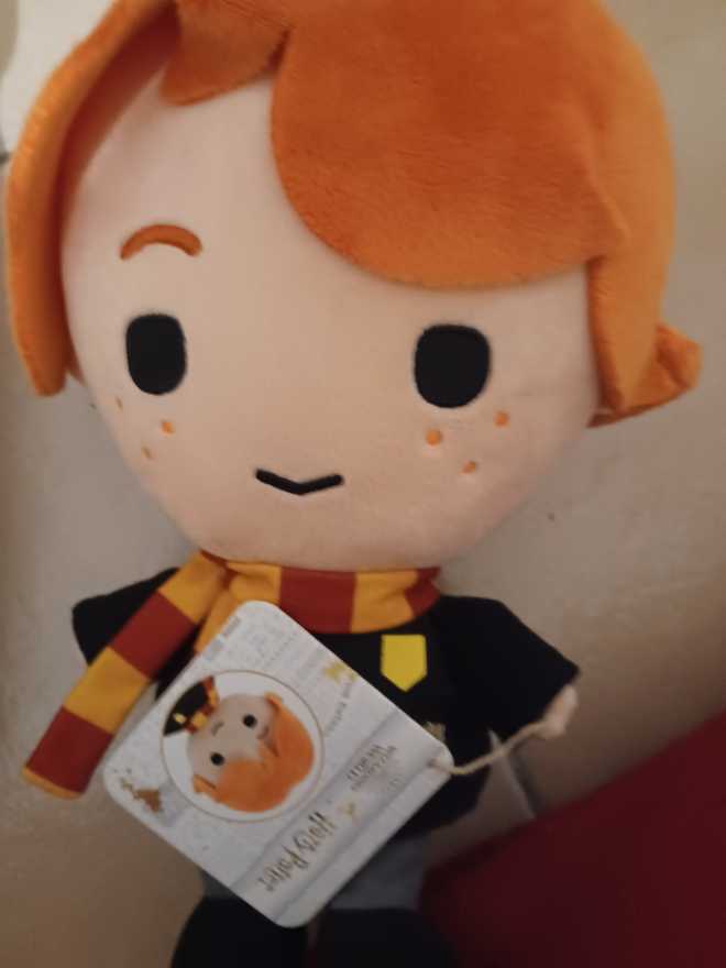 Douglas: Starsky Appaloosa