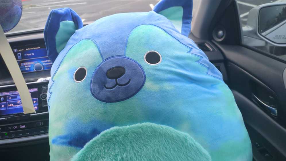 Kwame the Walrus, 16”, Squishmallows