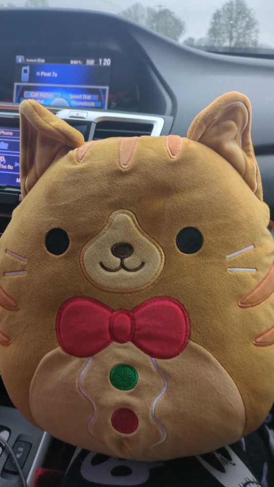 Aurora’s World Snoozle Dragon