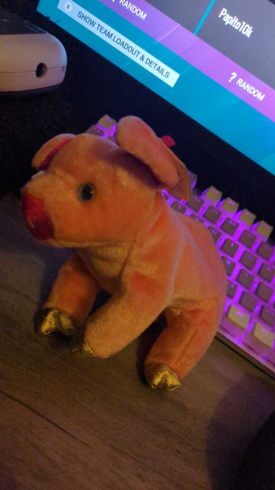 Quacker Jax The Duck