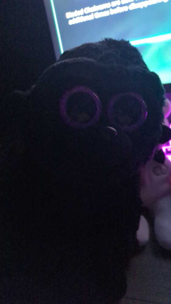 Dakin Sylvia By Japan Artists Society