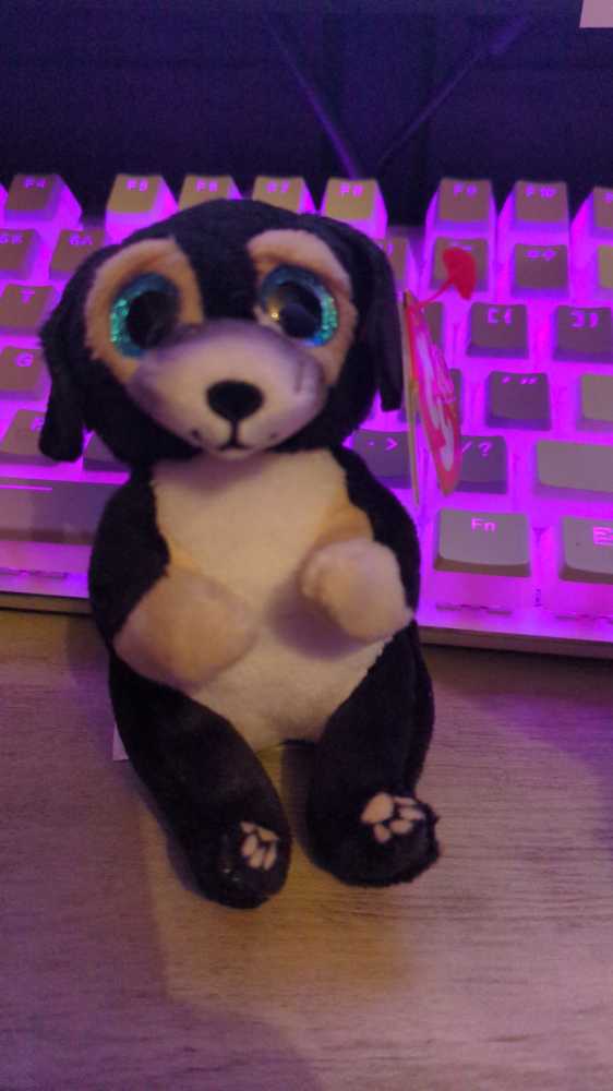 Isadora The 8” Parakeet Pink Squishmallow