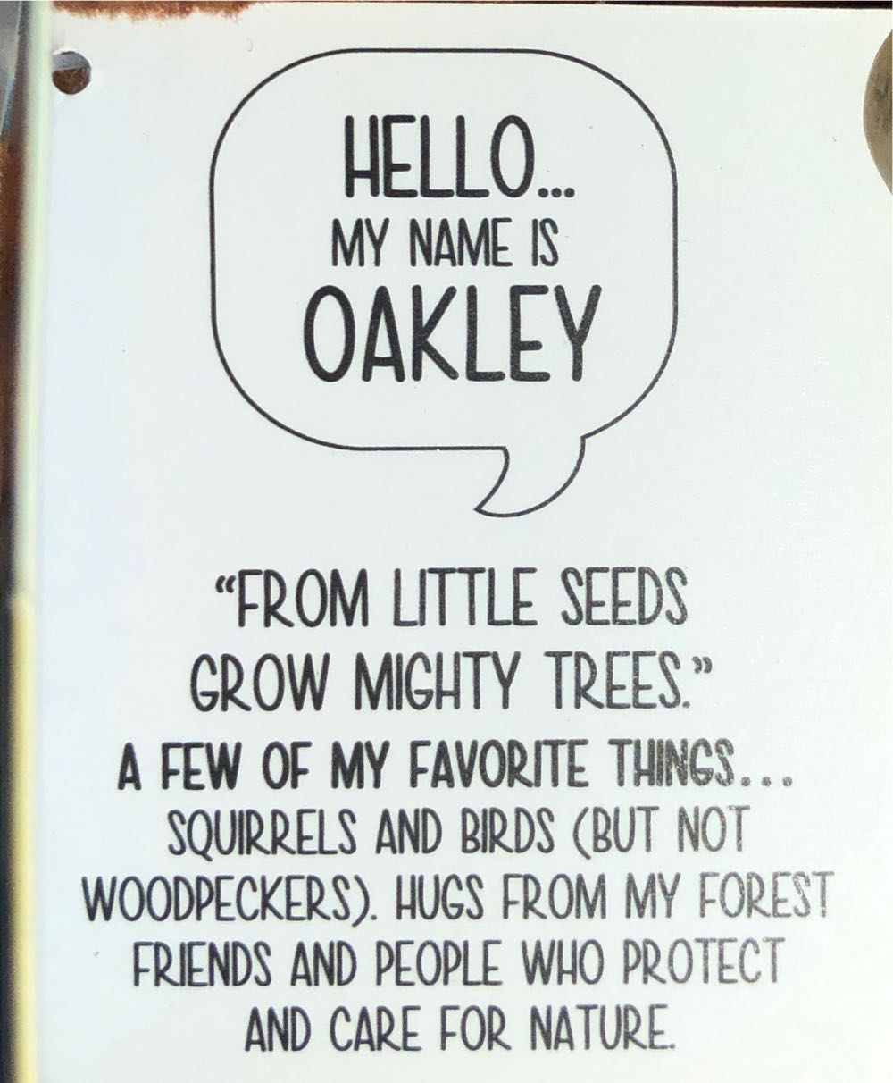 Giftcraft 473952 Hug Feel The Love Tree Gnome 9-inch Height Polyester Oakley  plush collectible [Barcode 067103931228] - Main Image 3