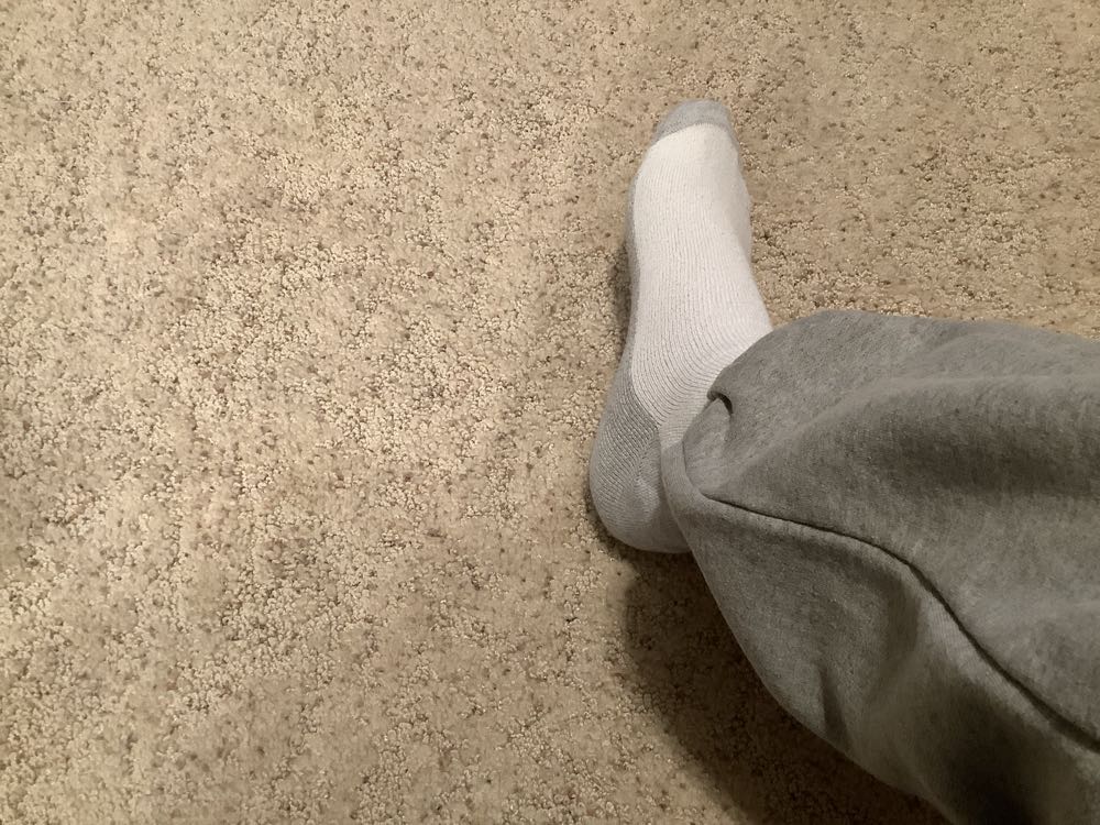 Animal Adventure Brown Bear