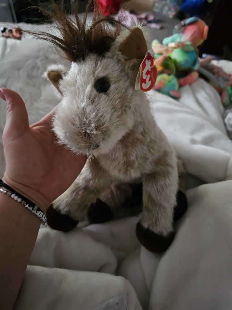 Steiff - Dog - Fox Terrier - “Foxy”