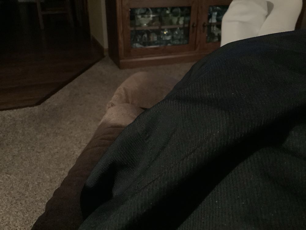 Folkmanis Mini Black Bear Finger Puppet