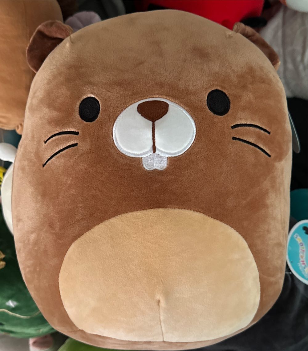 Squishmallows Zinabell The Cow Squish Doos Zinabell Nwt 14”h Squishmallow 14” 16”