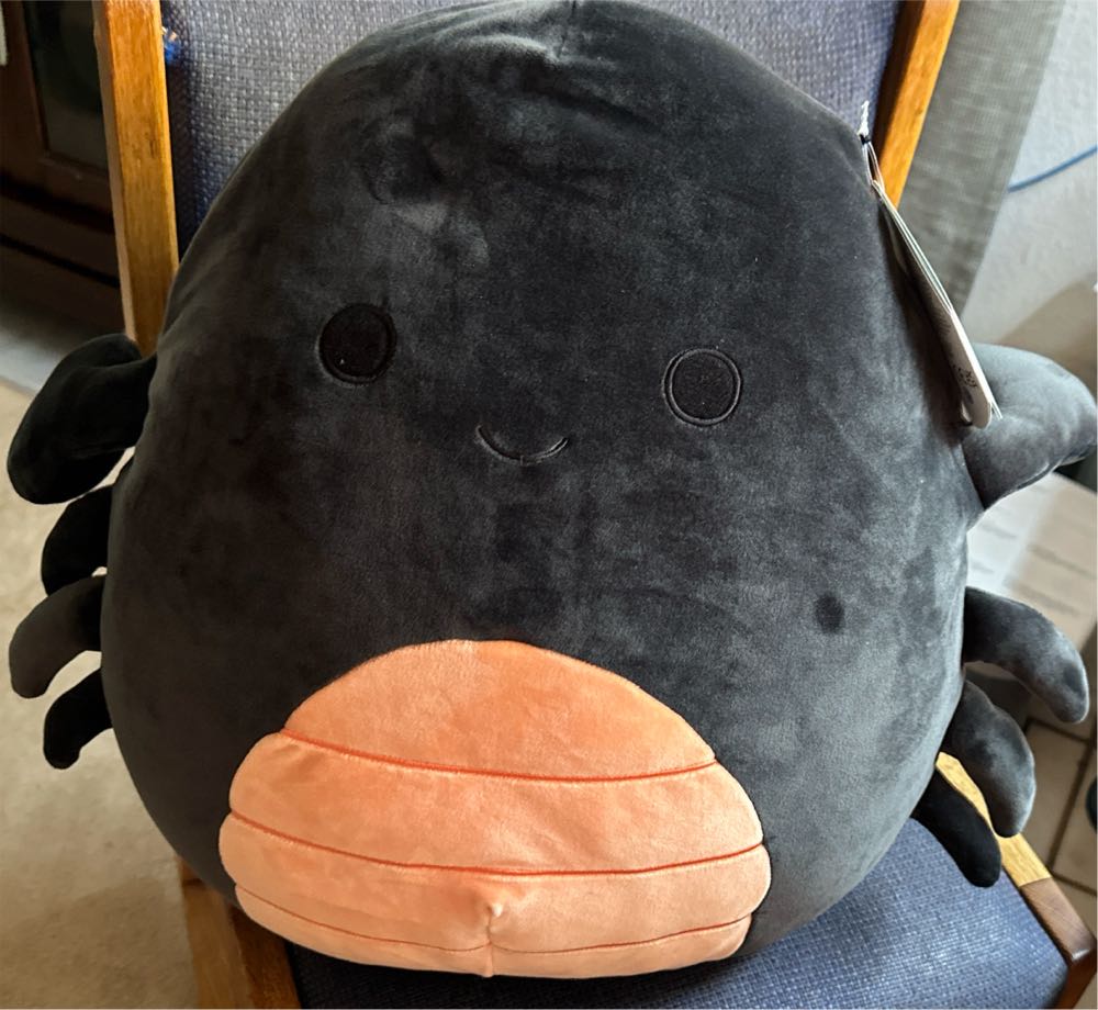 Hasbro Pikachu #25 Plush Out Of Box