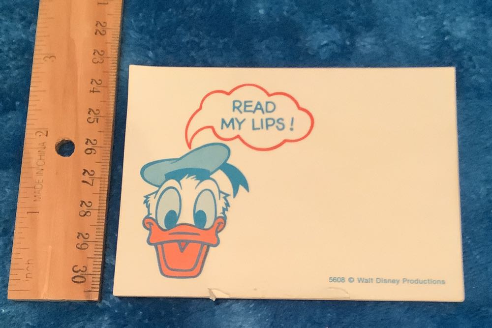 Ears The Bunny ( Buddy)