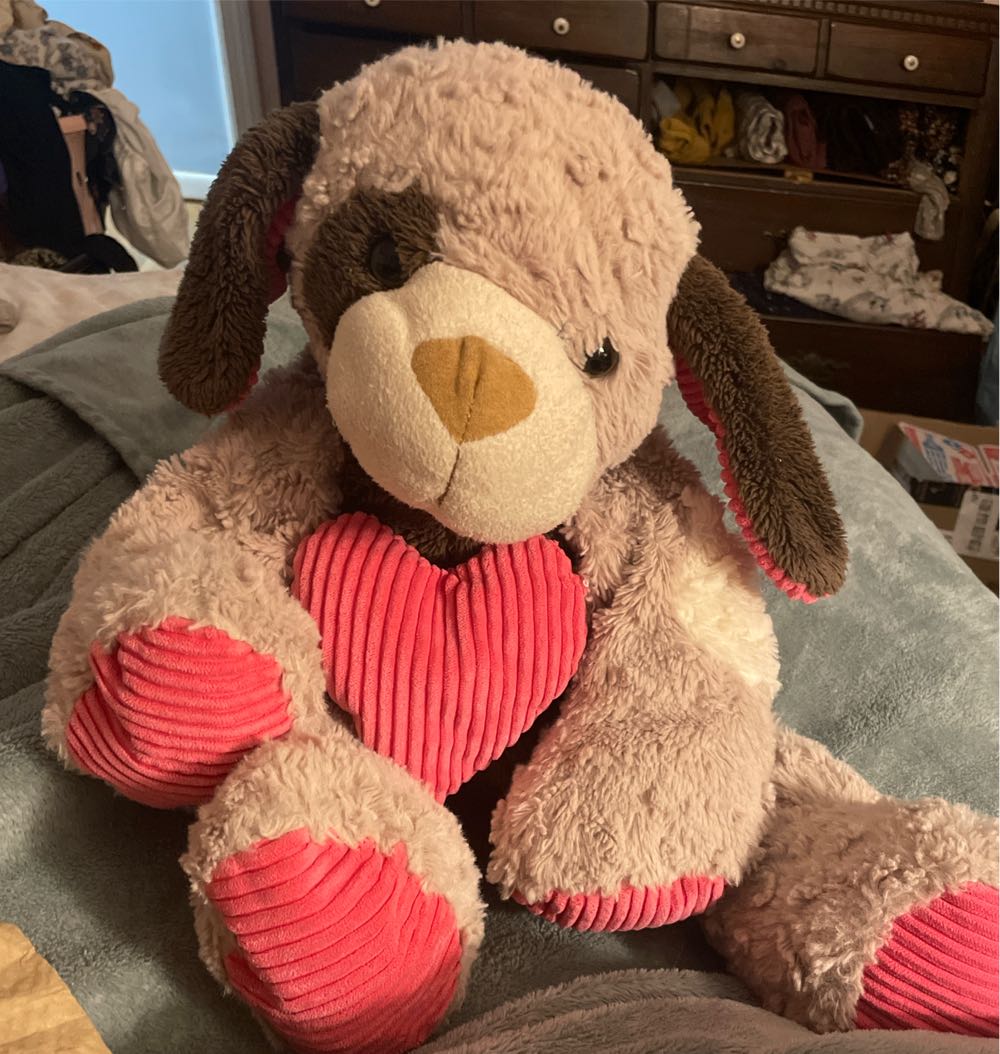 Gordon in Hoodie. 12” Squishmallows