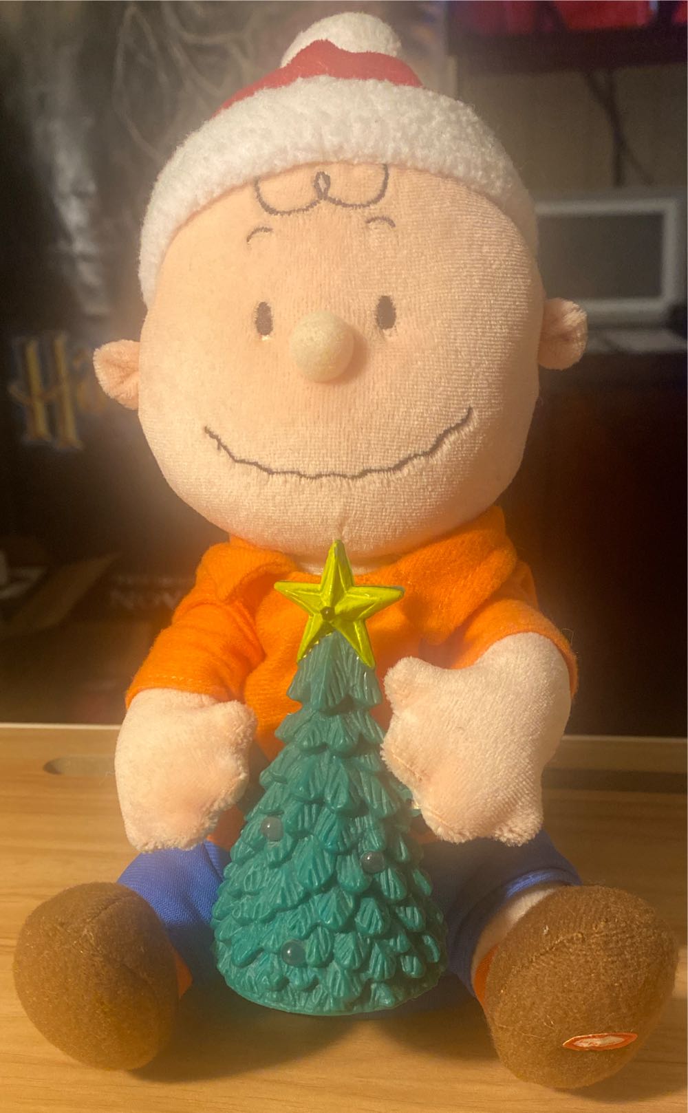 Skywagger Beanie (Big Dogs)