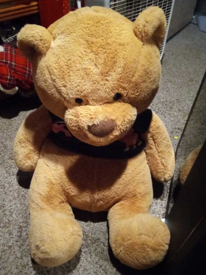 Hard Rock Cafe Teddy Bear Club Peace Beanie Bear Nwt Nos