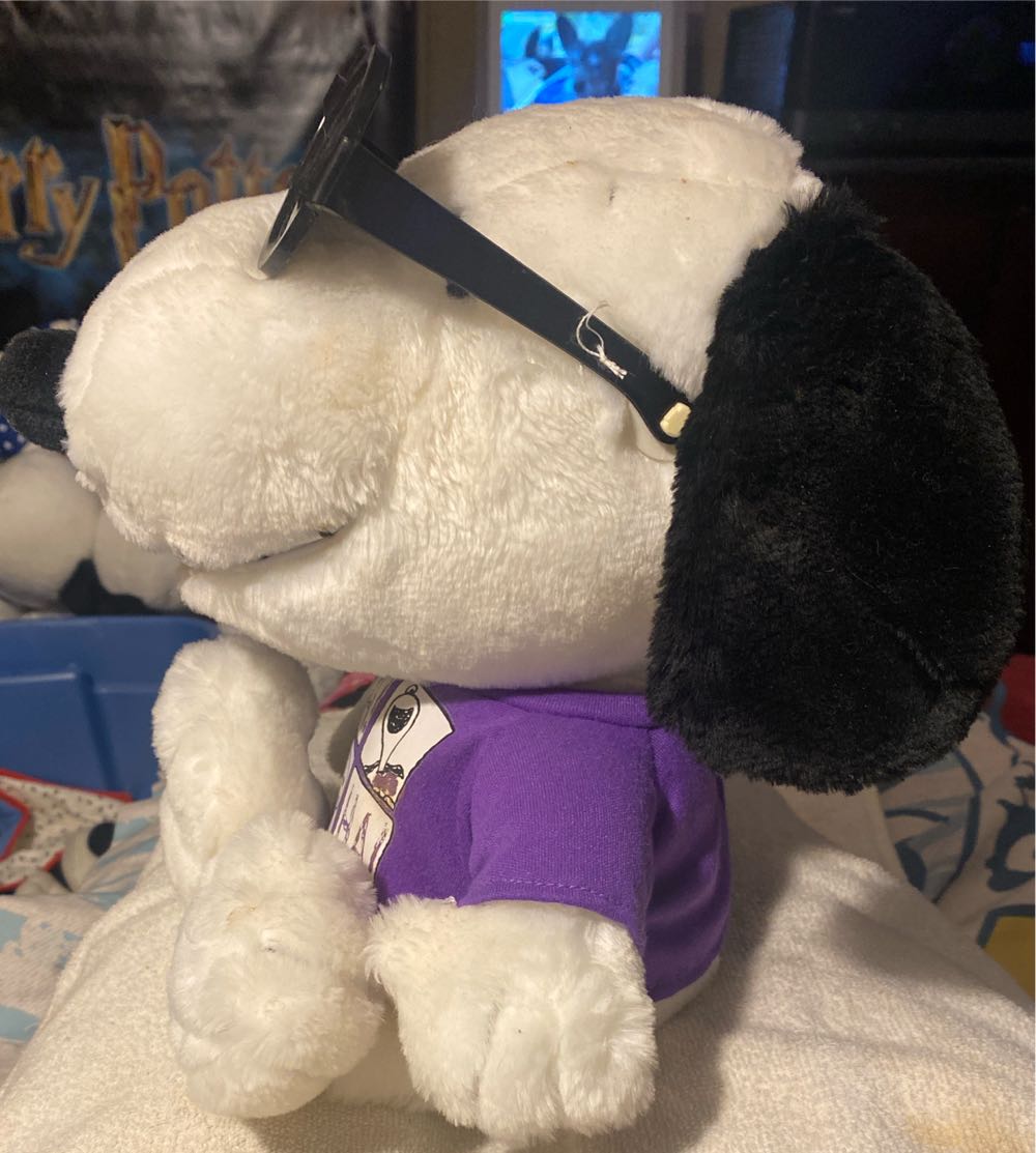 Hasbro Peanuts Laughing Snoopy Joe Cool Plush  (United States) plush collectible - Main Image 2