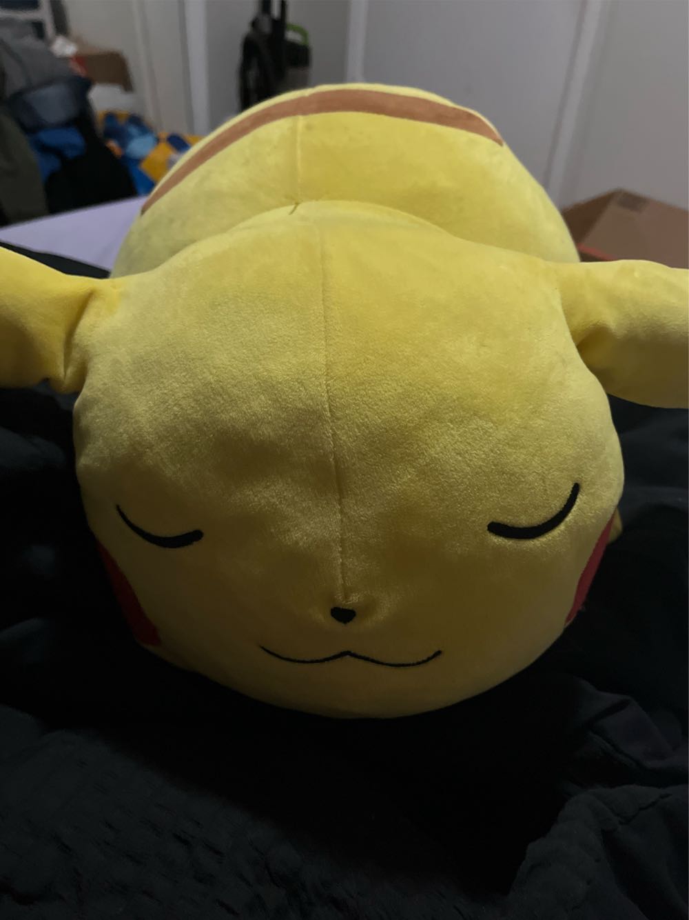 And Pomp Limited Treasures Sacagawea And Bear Coin Dollar & Golden The Liberty Nwt P Bears New Baby 2001 W 8” Beanie 2002 Sacajawea Tags