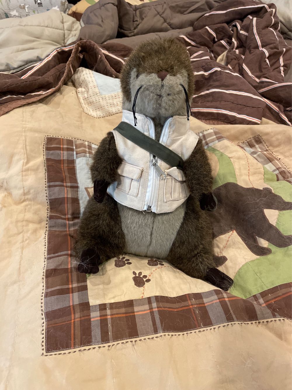 The Tan Squishmallow