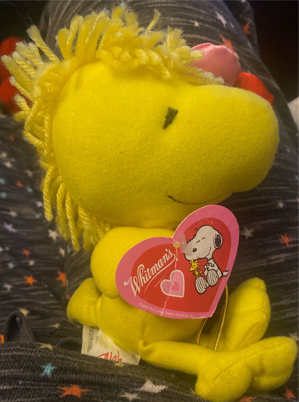 Whitman’s Peanuts Woodstock Valentine’s Day Holding 3 Balloons Plush  (United States) plush collectible [Barcode 076740072034] - Main Image 2