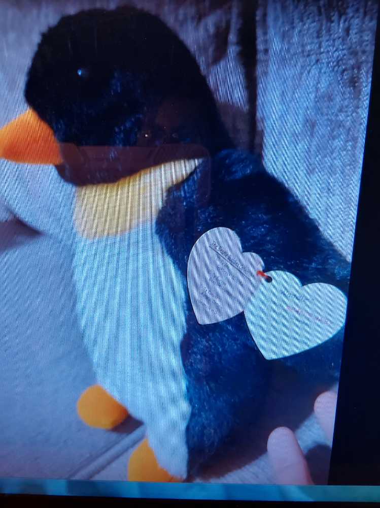 Waddle Beanie Buddy  plush collectible - Main Image 2