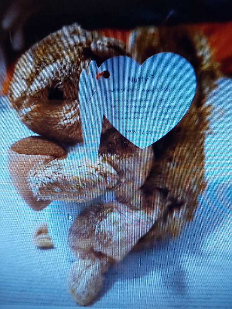 Squishmallows Official Kellytoy Easter Squad Squishy Soft Plush Toy Animal 14 Inch Hug Mees Belana Cow