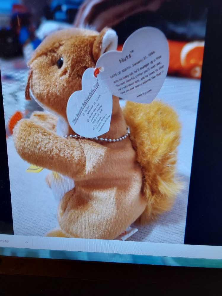 Nuts Beanie Baby  plush collectible - Main Image 2